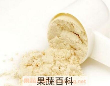 蛋白粉的功效与作用