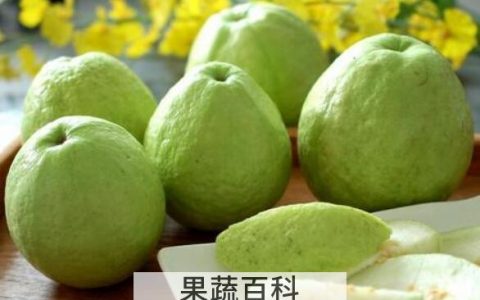 珍珠芭乐怎么吃 珍珠芭乐的食用方法