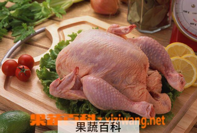 果蔬百科吃鸡肉的好处有什么