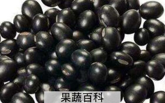 青皮黑豆的功效与作用