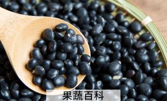 青皮黑豆的功效与作用