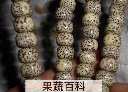佛心果的作用与功效