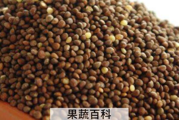 生苏子怎样做好吃 熟苏子怎么做好吃