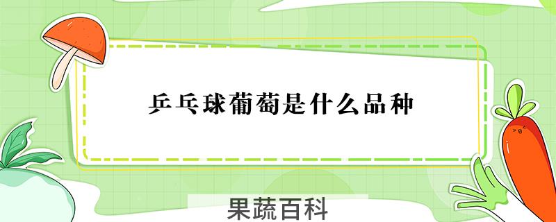 乒乓球葡萄是什么品种