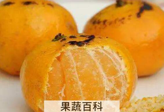 桔子烤热的功效与作用