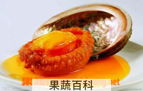 果蔬百科新鲜鲍鱼的营养价值及功效