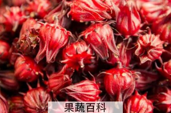 红金梅茶的功效与作用