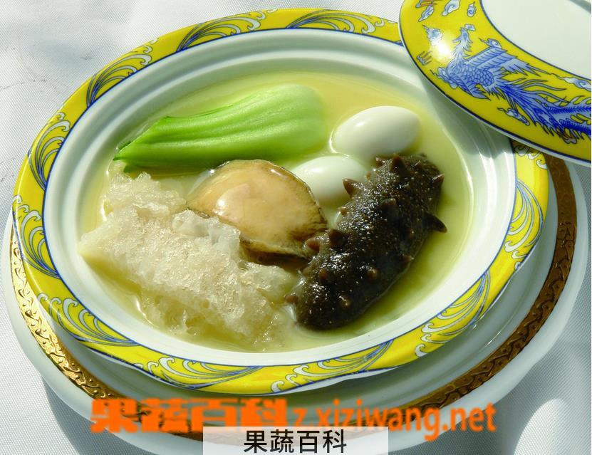果蔬百科海参的营养价值及功效 海参的吃法介绍