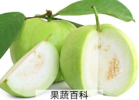 青番石榴怎么吃 青番石榴的食用方法