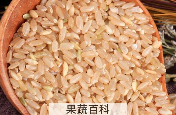 糙米和大米的区别 吃糙米的好处