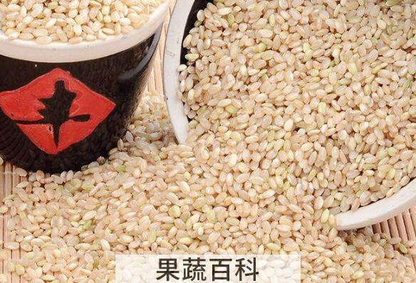 有机糙米的功效与作用 吃有机糙米的好处