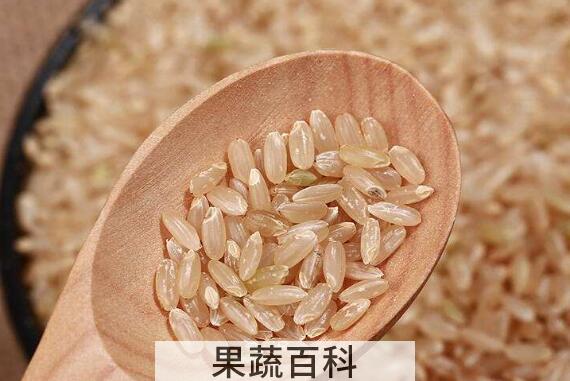有机糙米怎么做好吃 有机糙米的食用方法大全