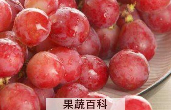 提子籽的功效与作用及禁忌