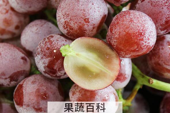 提子籽的功效与作用及禁忌