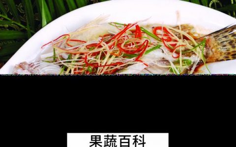 桂鱼的功效与作用 吃桂鱼的好处