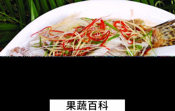 果蔬百科桂鱼的功效与作用