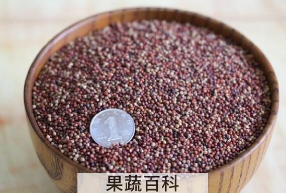 糁子粉怎么做好吃 糁子粉的食用方法