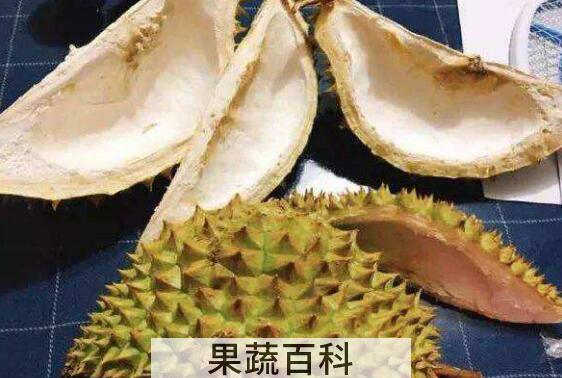 榴莲皮的功效与作用 榴莲皮的妙用