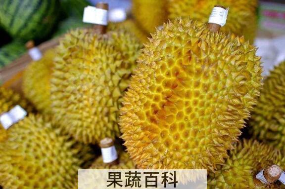 榴莲皮的功效与作用 榴莲皮的妙用