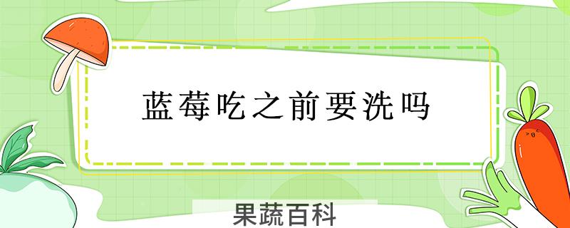 蓝莓吃之前要洗吗