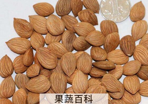 桃仁和杏仁的区别