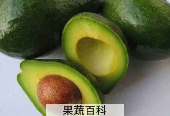 酪梨精油的功效与作用