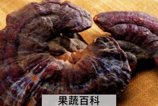 树舌与灵芝的区别有哪些 吃树舌的好处