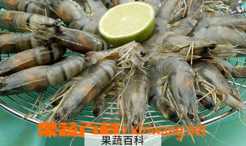果蔬百科海虾怎么做好吃