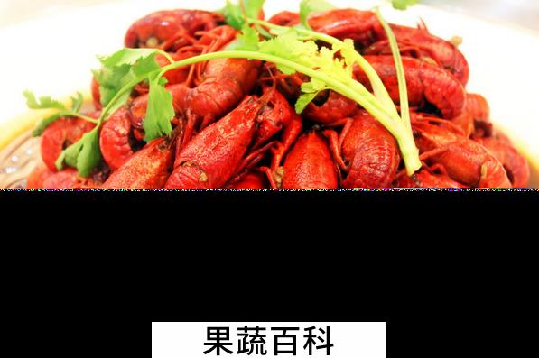 果蔬百科龙虾的营养价值与功效