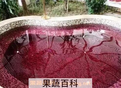 红酒泡脚的功效与作用