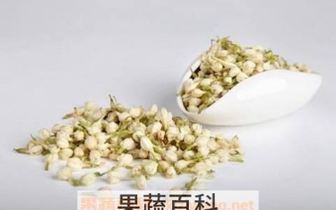 茉莉花的功效与作用 茉莉花的药用价值