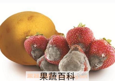 腐败变质食物的危害