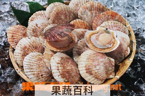 果蔬百科扇贝怎么洗