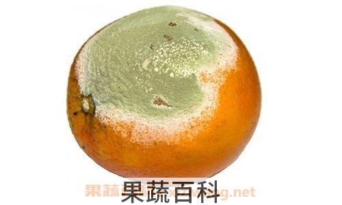 变质食物