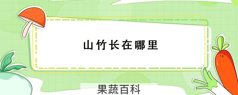 山竹长在哪里