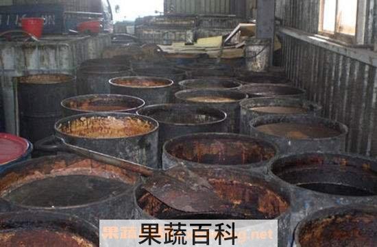 地沟油