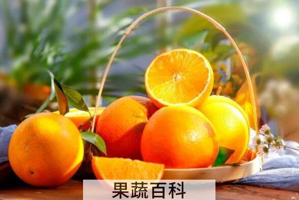 新鲜橙子泡水的正确泡法