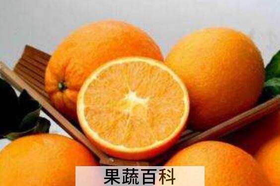 新鲜橙子泡水的正确泡法