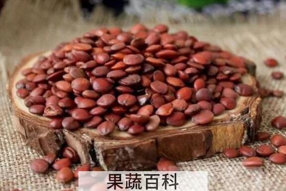 什么人不适合吃酸枣仁 酸枣仁的副作用