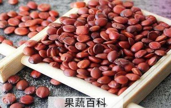 酸枣仁的功效与作用 酸枣仁的危害