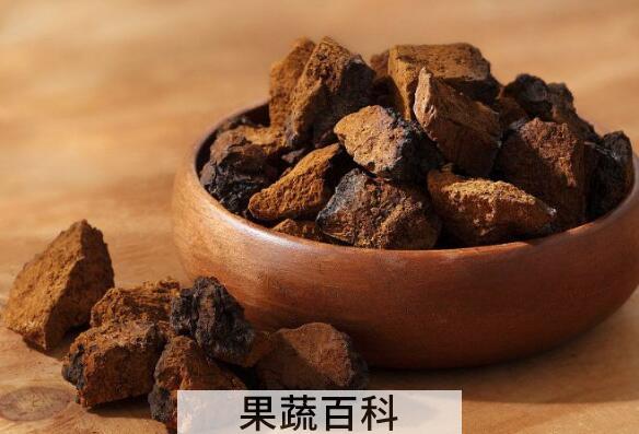桦树茸的功效及副作用