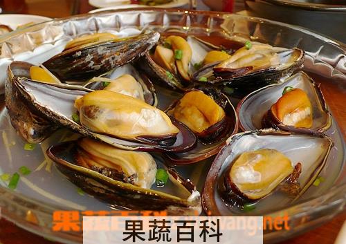 果蔬百科河蚌怎么吃好