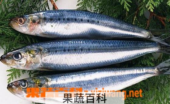 果蔬百科青鱼的功效与作用