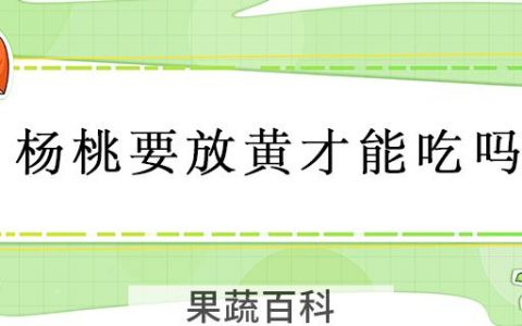 杨桃要放黄才能吃吗