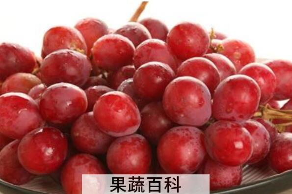 提子皮怎么好剥 如何用牙签巧剥提子皮