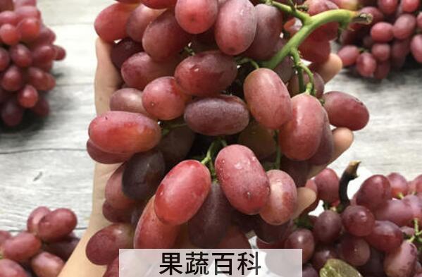 提子酒怎么做 提子酒的酿制方法