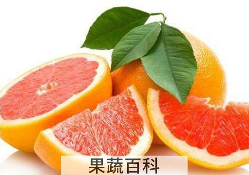 红心西柚子的功效与作用