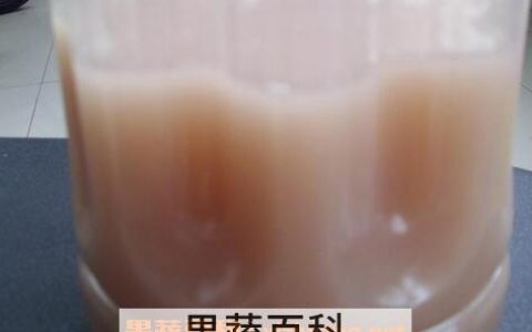 淘米水如何发酵 发酵淘米水的方法