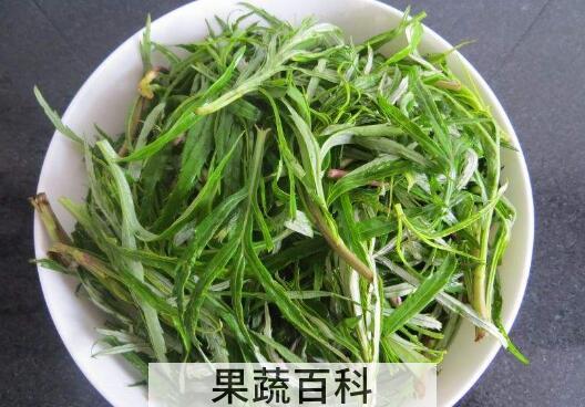 柳蒿芽的作用与功效 柳蒿芽的副作用