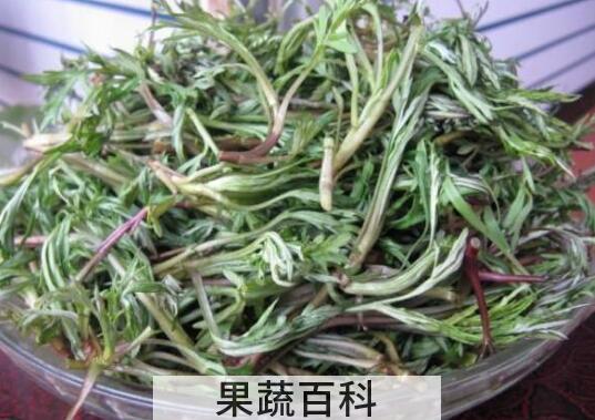 柳蒿芽的作用与功效 柳蒿芽的副作用